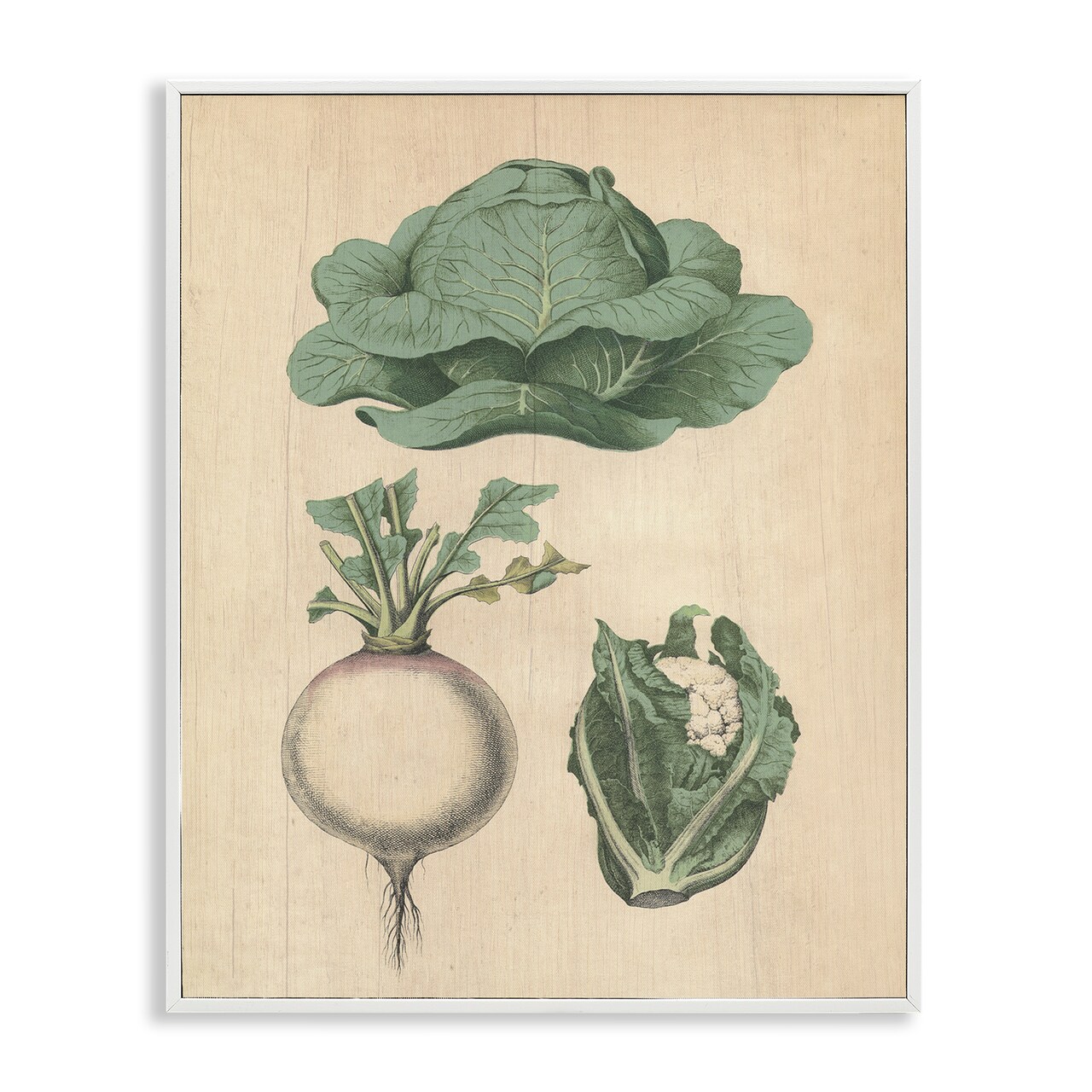 Stupell Industries Vintage Garden Vegetables Framed Giclee Wall Art Design by Daphne Polselli